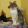 Отзыв от Елизавета Прохорова